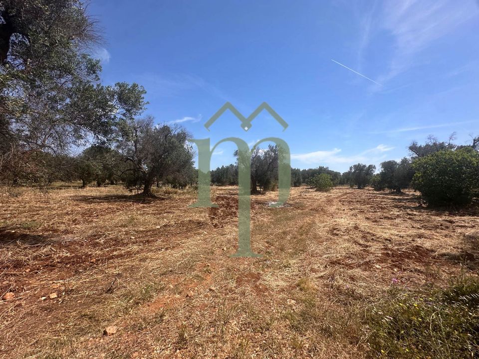 Helårsgrund i Carovigno, Brindisi - foto 5